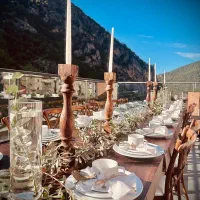 ظروف کرایه و بادکنک و گل ارایی احسانی