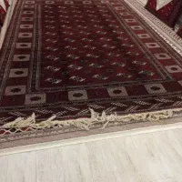 فرش دستبافت ترکمن|فرش|تهران, آذربایجان|دیوار
