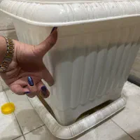 گلدان پلاستیکی بزرگ با خاک|گل و گیاه طبیعی|کرج, گوهردشت|دیوار