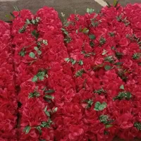 پنل گل ۱۰عددیک مترونیم،دوتاتخت وبالش ۱۱۰شاخه گل