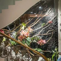 تراریوم،ماسوال،فضای سبز داخلی