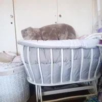 تخت گهواره بیضی انجل لندسفید