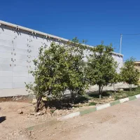 فروش مزرعه بیت کوین