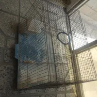 قفس پرنده