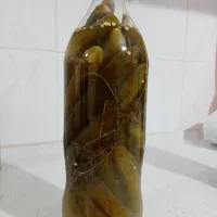 بفرمایید خیار شور