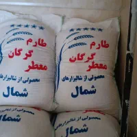 برنج گرگان