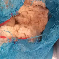 پنبه ی کارکرده|رختخواب، بالش، پتو|آران و بیدگل, |دیوار