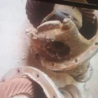 فروش دوعددکله گاوی پیکان|قطعات یدکی و لوازم جانبی|زارچ, |دیوار