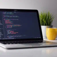 استخدام در برنامهنویسی فرانت اند