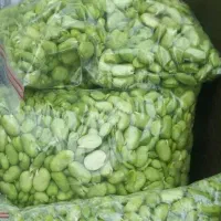 باقالا تازه