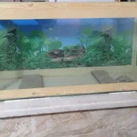 یک عدد آکواریوم با تمام وسایل