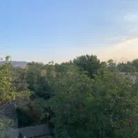 ۲۲۶ متر باغچه سند تک برگ