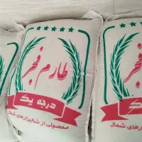 برنج طارم فجر مجلسی