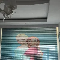 پرده زبرا فروزان