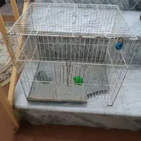 حراجی|حراج|بروجرد, |دیوار