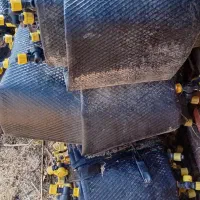 نخ دار و شیر حلزونی