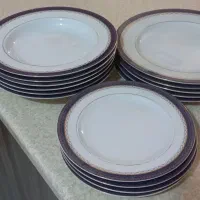 ظروف چینی