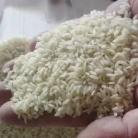 برنج لنجان درجه یک|خوردنی و آشامیدنی|لنجان, |دیوار