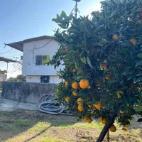 ۴کارگر پرتقال چین مرد با جای خواب