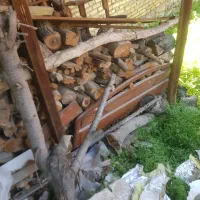 هیزم چوب گردو + ضایعات چوب خشک آماده مصرف