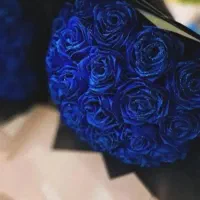 نو شیک|گل مصنوعی|نورآباد, |دیوار