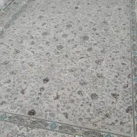 فرش ستاره شهر|فرش|یاسوج, |دیوار