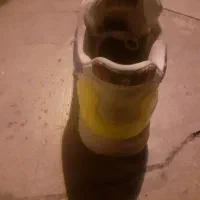 کتونی ZX 8000 سفارش کره|کیف، کفش، کمربند|رباط‌کریم, رباط‌کریم|دیوار