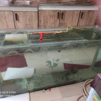 اکواریوم حرفه ای درجه یک بزرگ