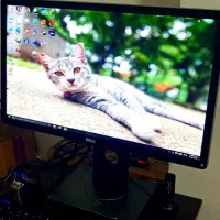 مانیتور حرفه ای 24 اینچ دل dell مناسب طراحی و گیم