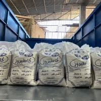 برنج کامفیروزی