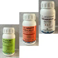 منشی خانم فروشگاه