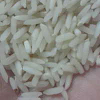 برنج درجه۱ طارم با کیفیت تضمینی