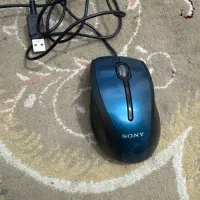 موس|قطعات و لوازم جانبی رایانه|شیراز, کاراندیش|دیوار