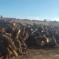 خرید انواع چوب