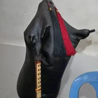 سازندگی حرفه ایی نی انبان