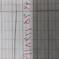 جو دامی درایلام|عمدهفروشی|ایلام, |دیوار