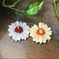 ساخت انواع دکوری و شمع|صنایع دستی و سایر لوازم تزئینی|فومن, |دیوار