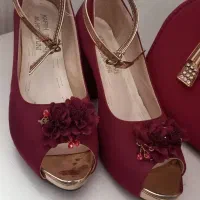 ست کیف و کفش مجلسی|کیف، کفش، کمربند|اردکان, |دیوار