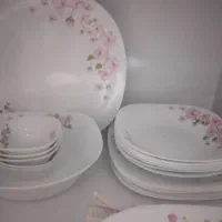 پلو خوری ارکوپال فرانسوی