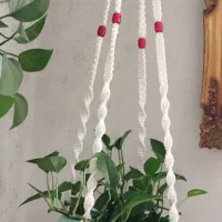 گل پتوس گل قاشقی گل بنفش