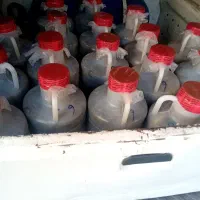 خیارشور همدان