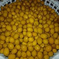 زیتون رودبار