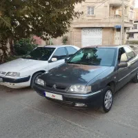 زانتیا در حد