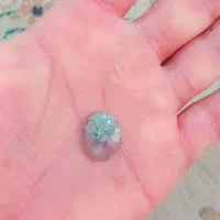 سنگ شجر بهاری زیاد مخصوص انگشتری