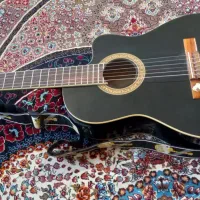 گیتار پیکاپدار