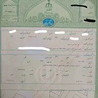 فروش-فروشی-مغازه-تجاری