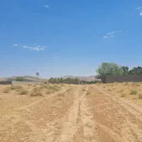 فروش زمین باغشهری جاده صدرا خیابان پارسیان|فروش زمین و ملک کلنگی|شیراز, باغشهر قصر سبز|دیوار