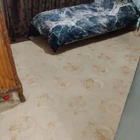 موکت کرم نسکافه ای