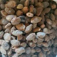 فروش زردالو با هسته|خوردنی و آشامیدنی|رزن, |دیوار