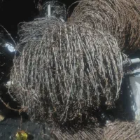 سیم خاردار سالم